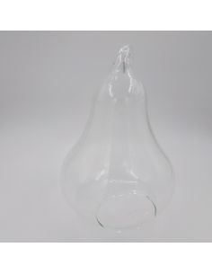 Terrarium poire 2