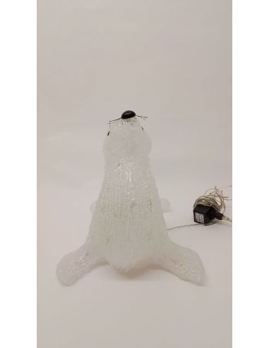 Déco Noël lumineux